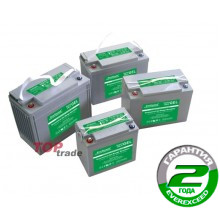 Аккумуляторная батарея EverExceed GL-12230