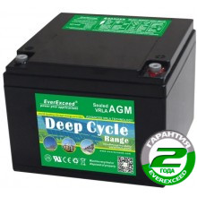 Аккумуляторная батарея EverExceed DP-1226