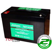 Аккумуляторная батарея EverExceed ST-12100